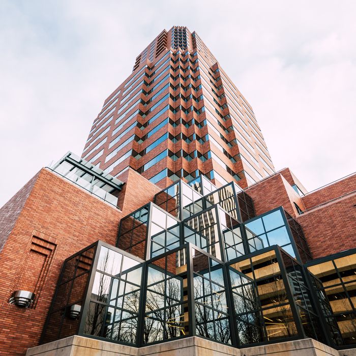 From below of multistory contemporary multistage building with geometric facade made of stone bricks and metal panels with trees reflecting in glass windows under cloudy sky on sunny day